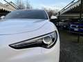 Alfa Romeo Stelvio 2.2 t Veloce Q4 210cv auto Blanc - thumbnail 8