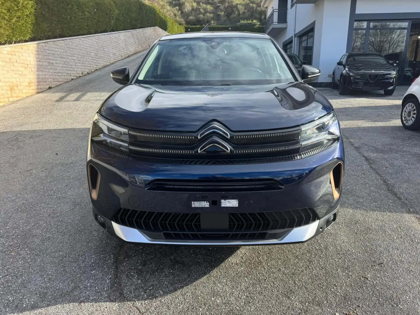 Citroen C5 Aircross PureTech 130 S&S C-Series Blu/Azzurro - 2