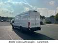 Ford Transit Kasten 350 L4/H4*Rückfahrkamera*Navi*Spu Weiß - thumbnail 5