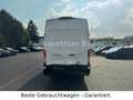 Ford Transit Kasten 350 L4/H4*Rückfahrkamera*Navi*Spu Weiß - thumbnail 6