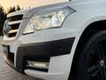 Mercedes-Benz GLK 250 CDI BE 4Matic Offroad Bi-Xenon / 19"LM Blanc - thumbnail 15