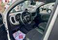 Fiat Panda Panda III 2016 4x4 1.3 mjt 16v 4x4 s Weiß - thumbnail 10