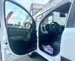 Fiat Panda Panda III 2016 4x4 1.3 mjt 16v 4x4 s Weiß - thumbnail 8