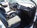 Opel Grandland X Automatik,SHZ,LHZ,AHK Weiß - thumbnail 13