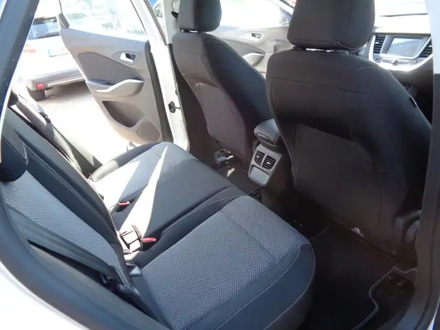 Opel Grandland X view 11