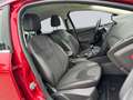 Ford Focus 1.5 Titanium Edition 150 pk, achteruitrijcamera, s Rojo - thumbnail 6