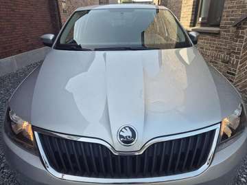 Rapid 1.2 TSI Active