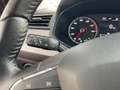SEAT Ibiza 1.0 TSI Business intense, Stoelverwarming, Stuurwi Gris - thumbnail 34