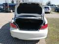 BMW 118 118d Cabrio 2.0 143cv Bianco - thumbnail 14