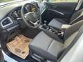 Suzuki SX4 S-Cross Shine Allgrip Weiß - thumbnail 9