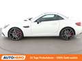 Mercedes-Benz SLC 43 AMG SLC 43 AMG Aut*NAVI*LED*HARMAN&KARDON*TEMPO*SHZ* Weiß - thumbnail 3