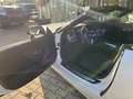 BMW Z4 Z4 Roadster sDrive 20 i Blanco - thumbnail 6