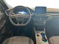 Ford Kuga FORD 2,0 ECOBLUE 120 CV AUT. ST-LINE Blu/Azzurro - thumbnail 6