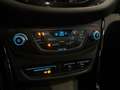 Ford B-Max 1.0 EcoBoost Titanium|Panoramadak|Keyless|Klimaatr Grau - thumbnail 18