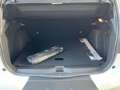 Citroen C3 Aircross PureTech Turbo 100 CV Plus - NUOVA Blanc - thumbnail 13