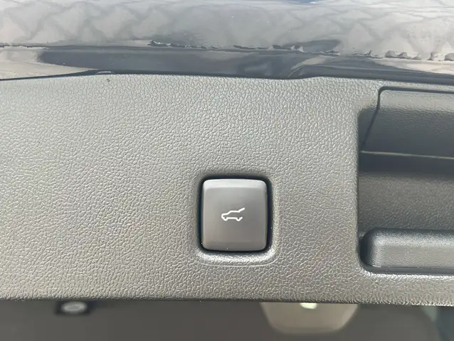 Ford Kuga view 10