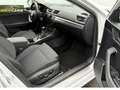 Skoda Superb Kombi 2.0 TDI Style DSG*LED*NAVI*KAMERA Weiß - thumbnail 8