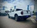 Ford Ranger Ranger Doppelkabine Wildtrak e-4WD 2.3 EcoBoost... Weiß - thumbnail 5