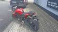 Triumph Street Triple S Aus 1.Hand Rouge - thumbnail 5