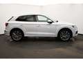 Audi Q5 2.0 TFSI S-tronic quattro Rückkam/Matrix/Spor Weiß - thumbnail 17