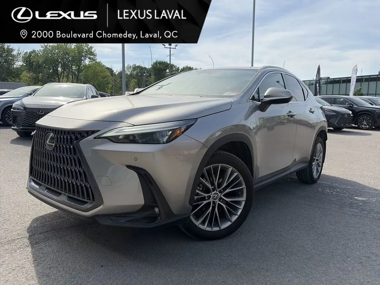 2022 Lexus NX снимка 2022 Lexus NX