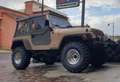 Jeep Wrangler TJ Hard Top 4.0 Limited Brons - thumbnail 4