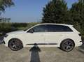 Audi SQ7 SQ7 4.0 V8 tdi Business Plus quattro tiptronic Alb - thumbnail 5