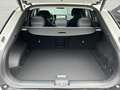 Kia EV6 Plus 84 kWh | Elekt. Stoelverstelling met geheugen Wit - thumbnail 18