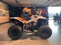 Can-Am Renegade XXC 650 T 2026 Grau - thumbnail 3