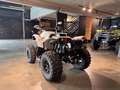 Can-Am Renegade XXC 650 T 2026 Grau - thumbnail 6