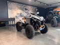 Can-Am Renegade XXC 650 T 2026 Grau - thumbnail 2