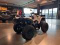 Can-Am Renegade XXC 650 T 2026 Grau - thumbnail 4