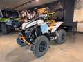 Can-Am Renegade XXC 650 T 2026 Grau - thumbnail 8