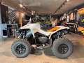 Can-Am Renegade XXC 650 T 2026 Grau - thumbnail 7
