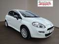 Fiat Punto 1,2 67 3Türig Young Weiß - thumbnail 17