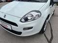 Fiat Punto 1,2 67 3Türig Young Weiß - thumbnail 3
