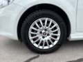 Fiat Punto 1,2 67 3Türig Young Weiß - thumbnail 4