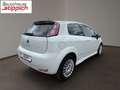 Fiat Punto 1,2 67 3Türig Young Weiß - thumbnail 14