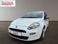 Fiat Punto 1,2 67 3Türig Young Weiß - thumbnail 1