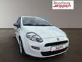 Fiat Punto 1,2 67 3Türig Young Weiß - thumbnail 18