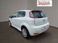 Fiat Punto 1,2 67 3Türig Young Weiß - thumbnail 11