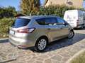 Ford S-Max S-Max II 2016 2.0 tdci Titanium Business awd s Or - thumbnail 21