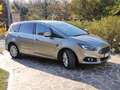 Ford S-Max S-Max II 2016 2.0 tdci Titanium Business awd s Or - thumbnail 19