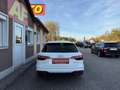 Audi A4 Avant 35 TDI S-tronic | AUT | WENIG KM Blanc - thumbnail 5