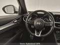 Alfa Romeo Stelvio 2.2 Turbodiesel 210 CV AT8 Q4 Veloce Bianco - thumbnail 7