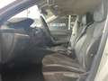 Skoda Octavia 2.0 TDI EVO SCR 150CV DSG Wagon Style Wit - thumbnail 7