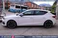 CUPRA Leon VZ 2.0 TSI DSG 5p 300CV Weiß - thumbnail 7