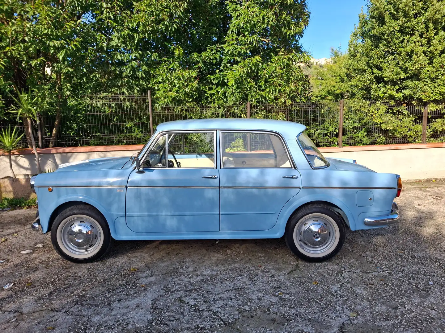 Fiat 1100 Special 103 G - 1