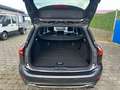 Ford Focus ST-Line X Mild Hybrid Gris - thumbnail 8