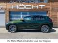 BMW X2 sDrive 20 i Edition Goldplay #LIMITIERT #H&K Groen - thumbnail 6